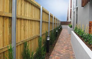pine timber fencing with steel posts